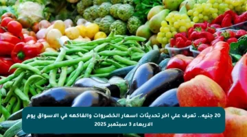 20 جنيه.. تعرف على آخر تحديثات أسعار الخضروات والفاكهة في الأسواق يوم الأربعاء 3 سبتمبر 2025